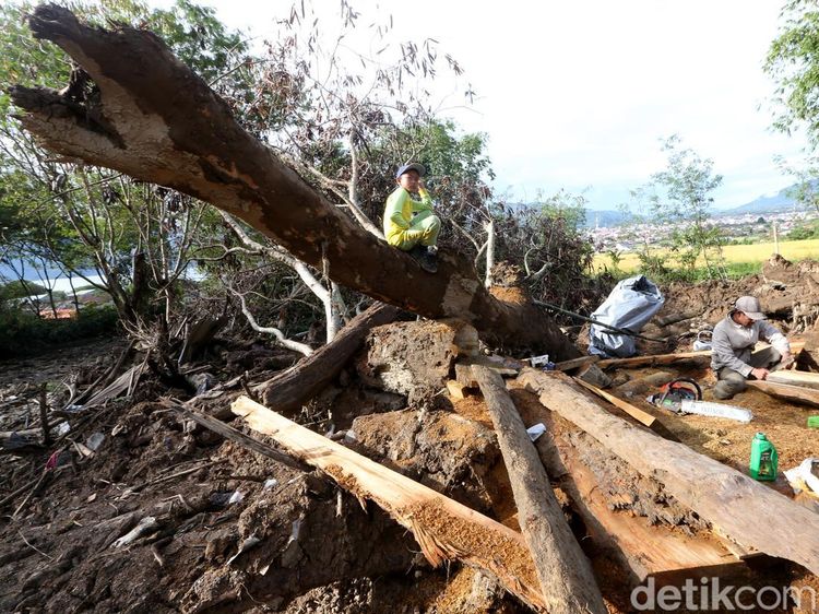 Korban Bencana Aceh Tengah Manfaatkan Kayu Gelondongan