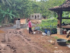 Heboh Jejak Diduga Macan, BKSDA Sebut Semanu Bukan Habitat Hewan Buas