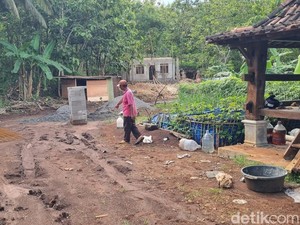 Heboh Jejak Diduga Macan, BKSDA Sebut Semanu Bukan Habitat Hewan Buas