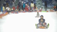 Cari Liburan dengan Sensasi Dingin? Coba Lokasi Salju Indoor di 4 Kota Ini