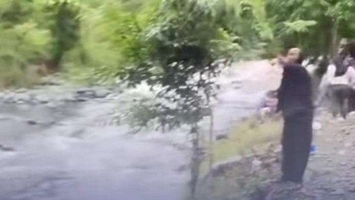 Wisatawan Berlarian Saat Sungai Desa Tampa di Luwu Mendadak Meluap
