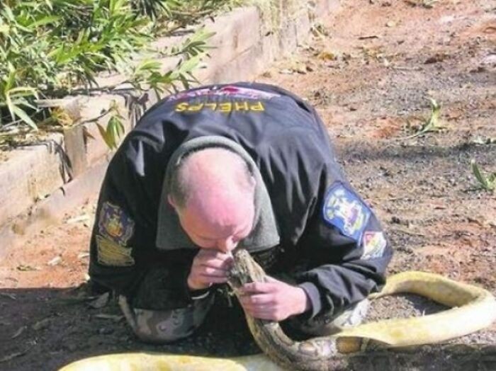 Ngeri! Foto Pekerjaan Paling Berbahaya, Tugasnya Taruhan Nyawa