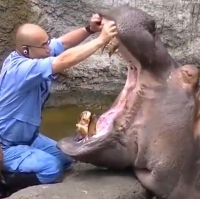 Ngeri! Foto Pekerjaan Paling Berbahaya, Tugasnya Taruhan Nyawa