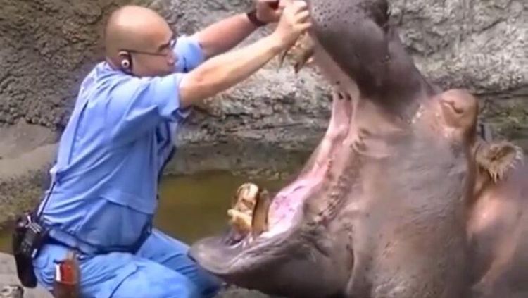 Ngeri! Foto Pekerjaan Paling Berbahaya, Tugasnya Taruhan Nyawa