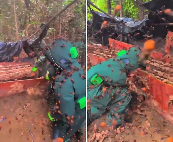 Ngeri! Foto Pekerjaan Paling Berbahaya, Tugasnya Taruhan Nyawa