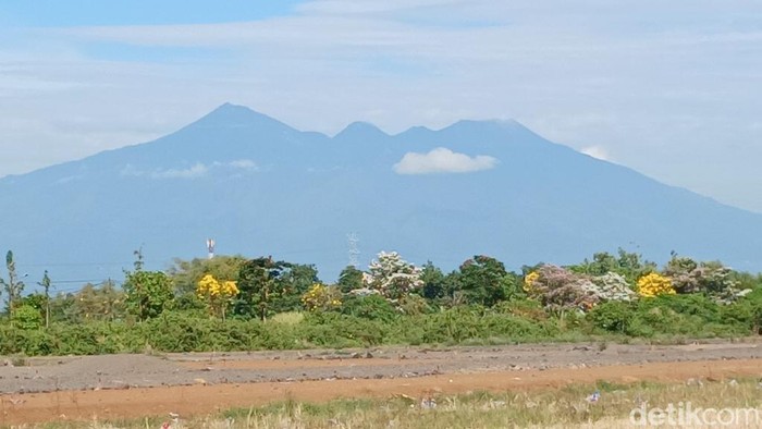 Pendakian Gunung Arjuno-Welirang via Pasuruan.