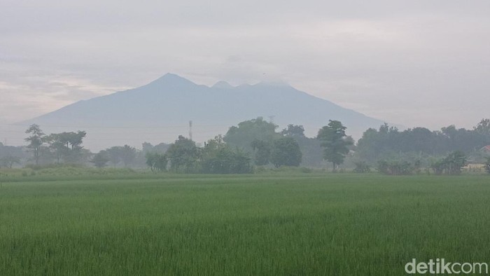 Arjuno-Welirang Masih Tutup, Ini Pendakian Pendek yang Bisa Ditempuh