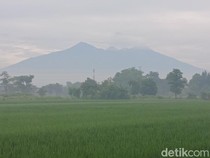 Arjuno-Welirang Masih Tutup, Ini Pendakian Pendek yang Bisa Ditempuh
