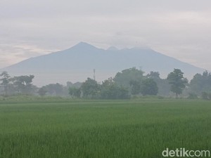 Arjuno-Welirang Masih Tutup, Ini Pendakian Pendek yang Bisa Ditempuh