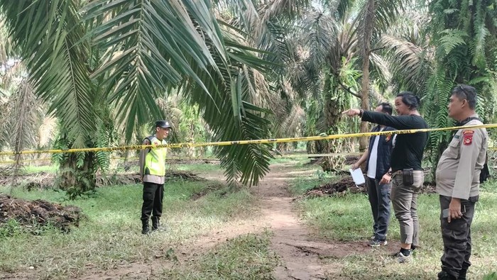 Polisi saat melakukan olah TKP lokasi pembunuhan di Musi Banyuasin.