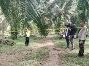 Pria yang Tewas Saat Jaga Kebun Durian Diduga Korban Pembunuhan