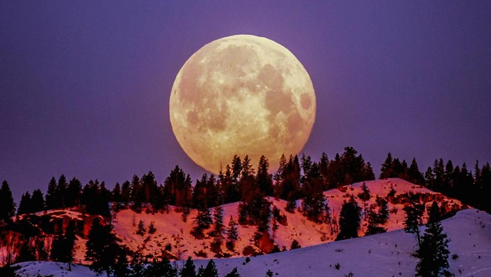 Fenomena Wolf Moon 3 Januari 2026: Jadwal, Dampak, Cara Lihat, dan Maknanya