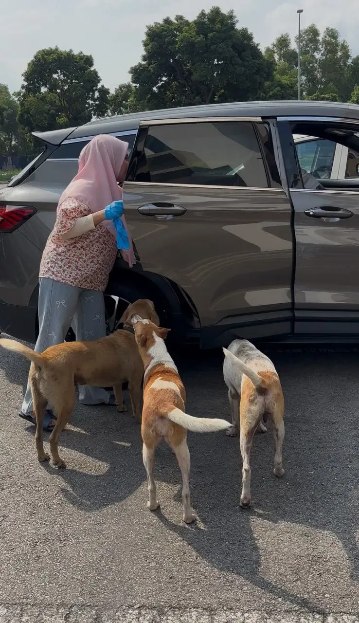 Wanita Muslim Beri Makan Anjing Liar, Tak Gentar Walau Banyak Dihujat