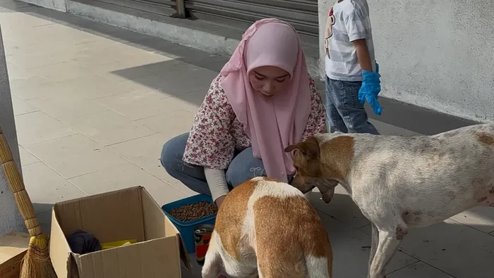 Wanita Muslim Beri Makan Anjing Liar, Tak Gentar Walau Banyak Dihujat