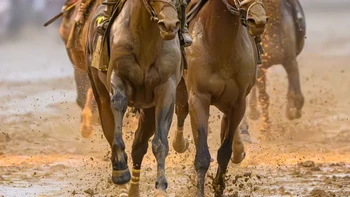 Karya Carlos Calo, Finalis Ekuestrian Foto: World Sports Photography Awards