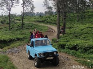 Menjajal Adrenalin Lewat Fun Offroad di Kebun Teh Sukabumi