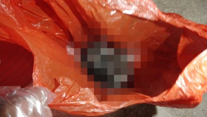Penampakan Potongan Kepala Kambing Diduga Teror Warung Makan di Makassar