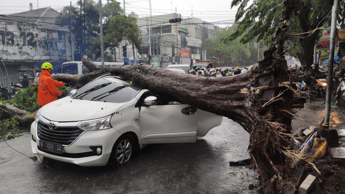 Pohon tunmbang diterjang angin timpa Avanza di Jalan Majapahit Sidoarjo