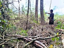Curhat Warga Punan Batu Benau, Khawatir Perambahan Hutan Merajalela