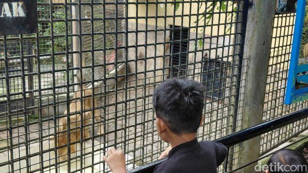 Suasana di Taman Satwa Cikembulan Garut
