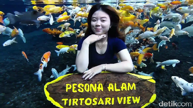 Tirtosari View, wisata alam pemandian di kaki Gunung Semeru yang menawarkan spot foto dalam air. Tirtosari View, wisata alam pemandian di kaki Gunung Semeru yang menawarkan spot foto dalam air.