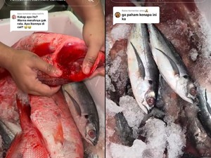 Viral! Curhatan Pembeli Rugi Rp 1,4 Juta usai Beli Ikan di Muara Angke