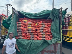 133 Ton Bawang Bombay Ilegal dari Pontianak Disita Polisi