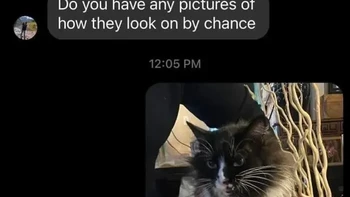 Ternyata fetish berkedok belanja. Untungnya, ada si empus yang rela jadi model. Foto: AmazHDOfficial via Bored Panda