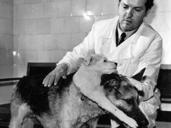 8 Foto Seram Ini Punya Cerita Mengerikan, Jangan Baca Sendirian