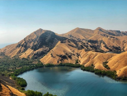 Hamparan Savana Emas di Bukit Liaga, Kabupaten Ende, NTT. (Tangkap Layar Google Maps/Didi Wahjudi/2022)
