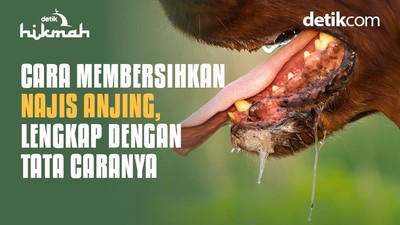 Terkena Najis Anjing? Ini Cara Mensucikannya Menurut Islam