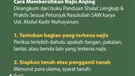 Terkena Najis Anjing? Ini Cara Mensucikannya Menurut Islam