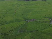 Lodok Manggarai: Sistem Pembagian Tanah Ulayat dan Jejak Sejarah Agraria NTT