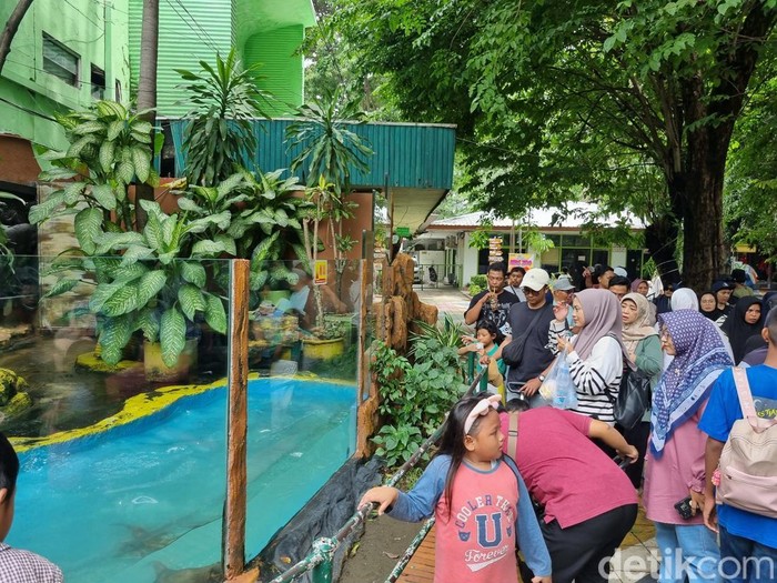 Pengunjung memadati KBS di hari terakhir liburan pergantian tahun 2026. Pengelola mencatat ribuan orang telah berdatanga sejak pagi hari