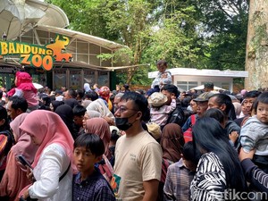 Takut Berdesakan, Sejumlah Pengunjung Batalkan Wisata ke Bandung Zoo