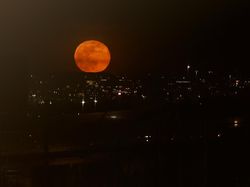 Potret Supermoon Perdana 2026, Wolf Moon Menyapa Berbagai Negara