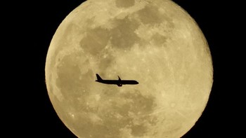 Pesawat Airbus A321-271NX melintasi supermoon yang dikenal sebagai Bulan Serigala, di Aguimes di pulau Gran Canaria, Spanyol. Fenomena ini terjadi setiap tahun pada awal Januari, ketika planet kita berada pada jarak terdekatnya dari Matahari, yaitu 147.099.900 kilometer (91.403.640 mil), dibandingkan dengan jarak rata-rata 149,6 juta kilometer. Foto: REUTERS/Borja Suarez