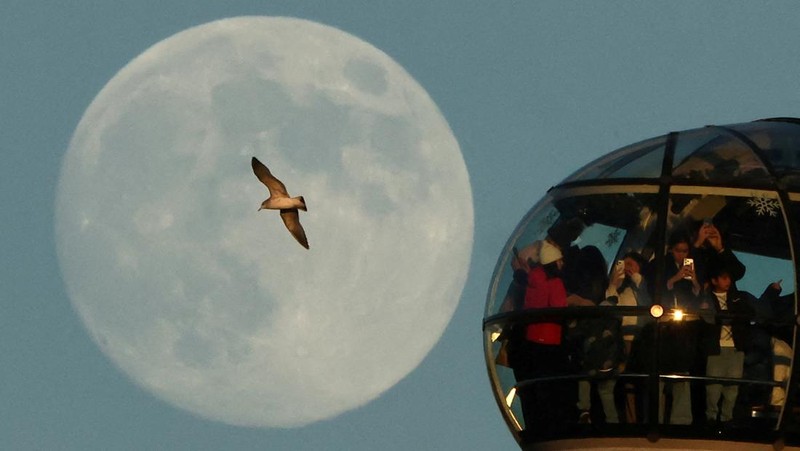 The moon rises on the eve of a Wolf Moon supermoon as passengers look out from a pod on the London Eye wheel and a gull flies, in London, Britain, January 2, 2026. REUTERS/Toby Melville     TPX IMAGES OF THE DAY