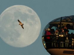 Potret Supermoon Perdana 2026, Wolf Moon Menyapa Berbagai Negara