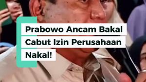 Video Prabowo Ancam Cabut Izin Perusahaan Nakal 