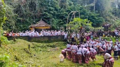 Prosesi ritual Siat Untek, tradisi kuno yang dimiliki warga adat Desa Adat Kiadan, Kecamatan Petang, Badung. (Dok. Desa Adat Kiadan)