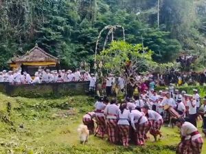 Ritual untuk Memohon Kesuburan di Bali