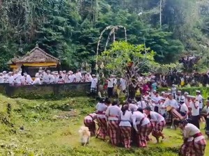 Ritual untuk Memohon Kesuburan di Bali