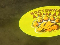 Menyusuri Ragunan Setelah Gelap