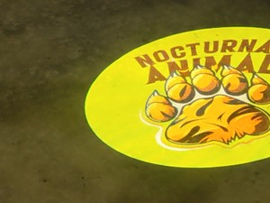Menyusuri Ragunan Setelah Gelap