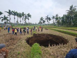 Penampakan Lubang Raksasa di Tengah Sawah Sumbar