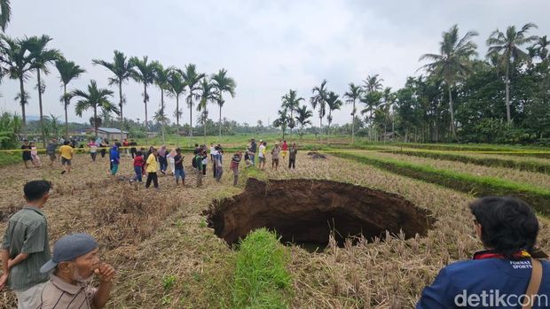 Sebuah lubang raksasa muncul di tengah lahan persawahan milik warga dii Nagari SItujuah Batua, Kabupaten 50 Kota, Sumbar. (Jeka Kampai/detikSumut)