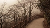 Panorama Gunung Huangshan yang jadi background ulang tahun Zoe Abbas Jackson. Foto: Instagram @zoeabbasjackson