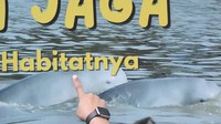 Pengunjung mengamati poster Pesut Mahakam di Desa Wisata Pela. Desa yang dikembangkan sebagai destinasi green tourism dan berkelanjutan itu menawarkan wisata konservasi Pesut Mahakam, yakni mamalia sejenis lumba-lumba yang termasuk hewan dilindungi.