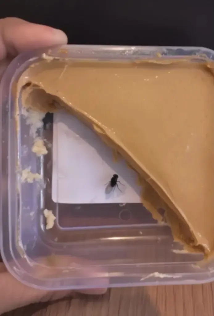 Pelanggan Edit Foto Makanan pakai AI agar Bisa Refund